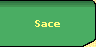 l_sace.gif (1147 byte)